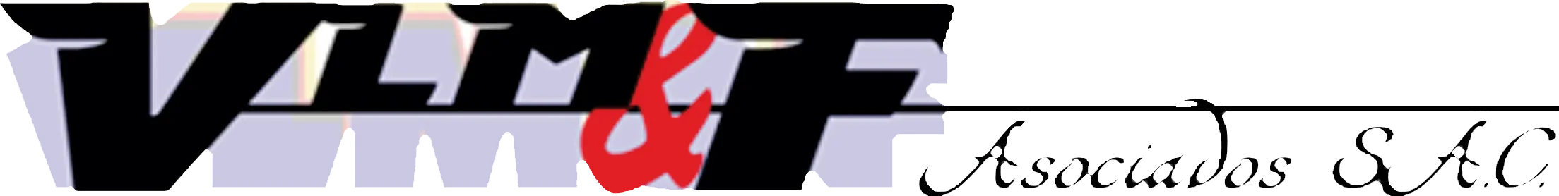 VLM&F Asociados